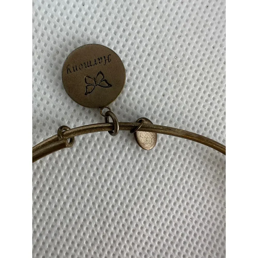 Alex and Ani Bracelet Path of Life